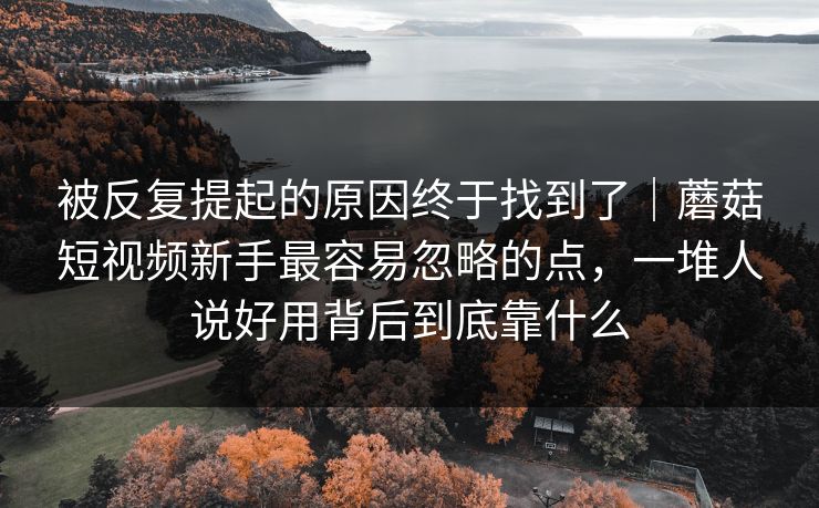 被反复提起的原因终于找到了｜蘑菇短视频新手最容易忽略的点，一堆人说好用背后到底靠什么