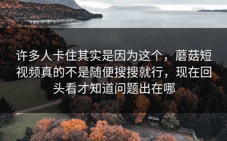 许多人卡住其实是因为这个，蘑菇短视频真的不是随便搜搜就行，现在回头看才知道问题出在哪