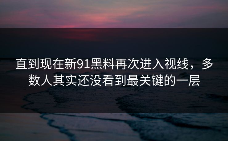 直到现在新91黑料再次进入视线，多数人其实还没看到最关键的一层