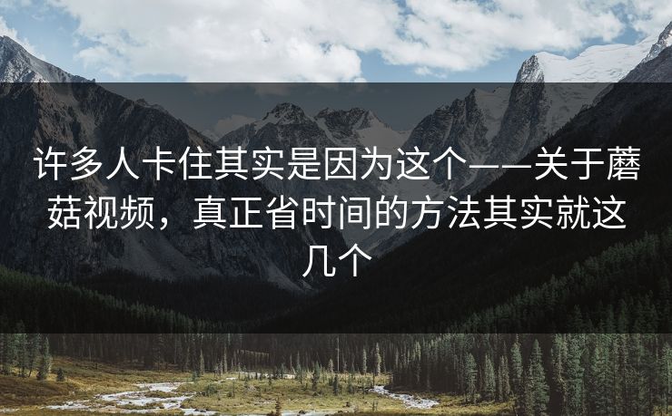 许多人卡住其实是因为这个——关于蘑菇视频，真正省时间的方法其实就这几个