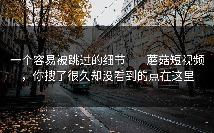 一个容易被跳过的细节——蘑菇短视频，你搜了很久却没看到的点在这里