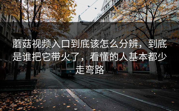 蘑菇视频入口到底该怎么分辨，到底是谁把它带火了，看懂的人基本都少走弯路