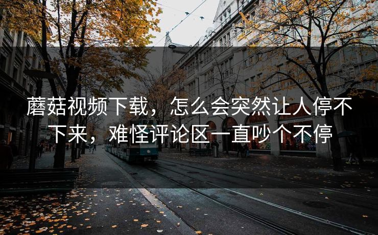 蘑菇视频下载，怎么会突然让人停不下来，难怪评论区一直吵个不停